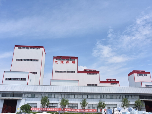 厂容厂貌 (2)